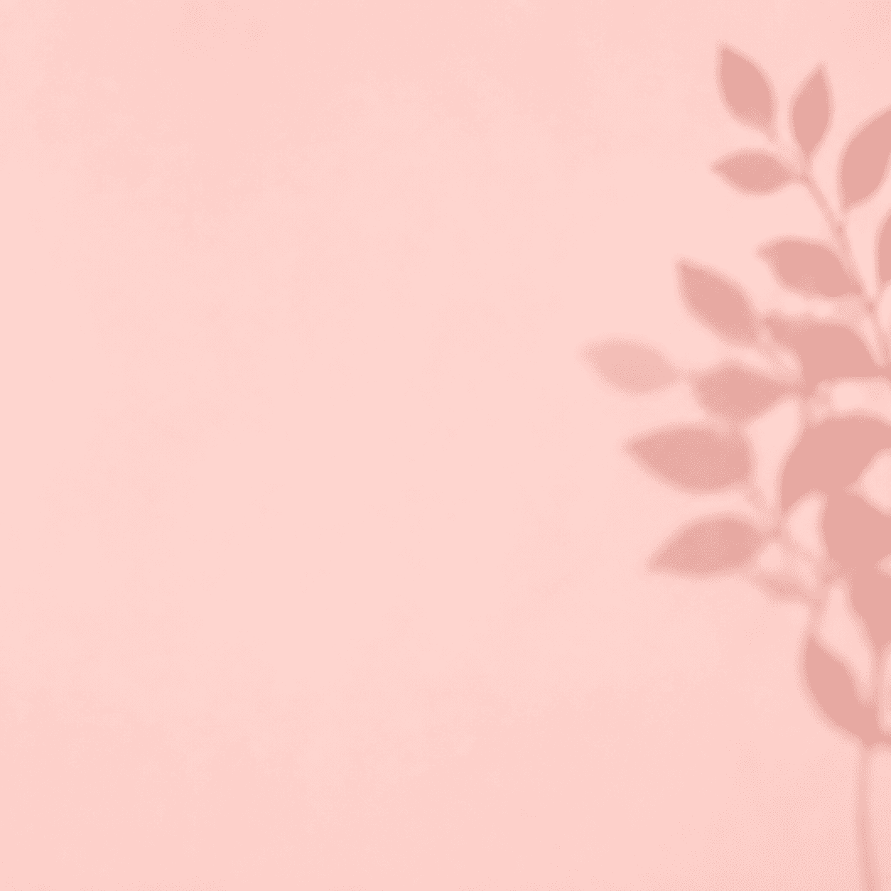 Productos NoeBelle